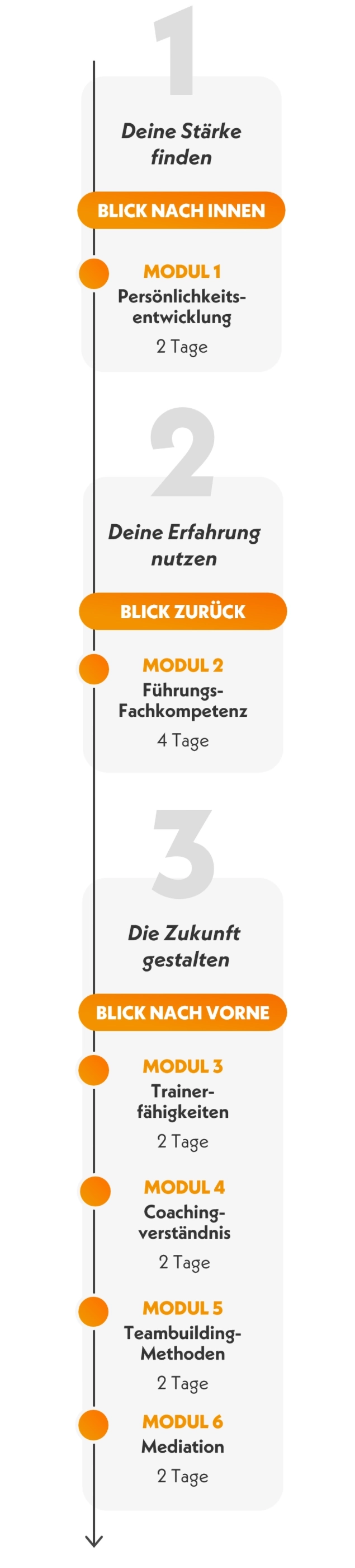 Systemische F&uuml;hrungskraft