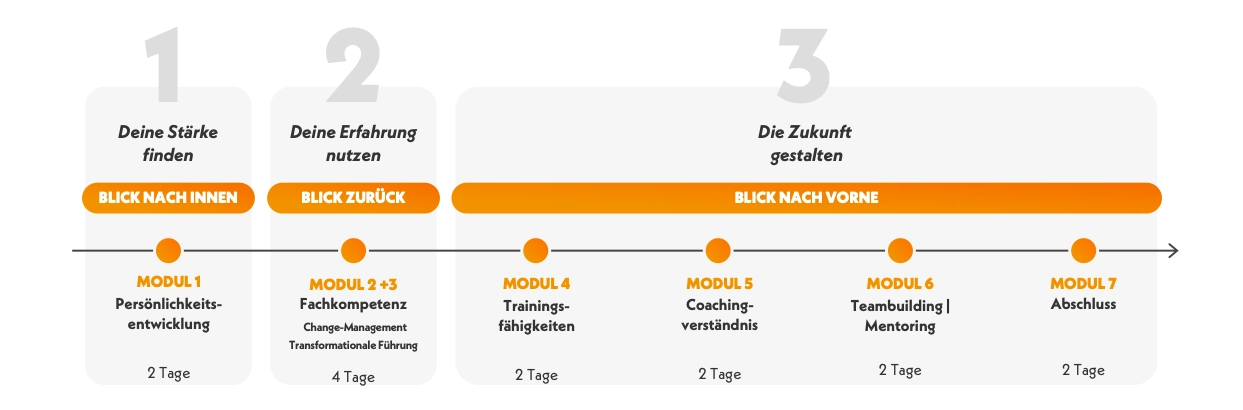 Systemische F&uuml;hrungskraft