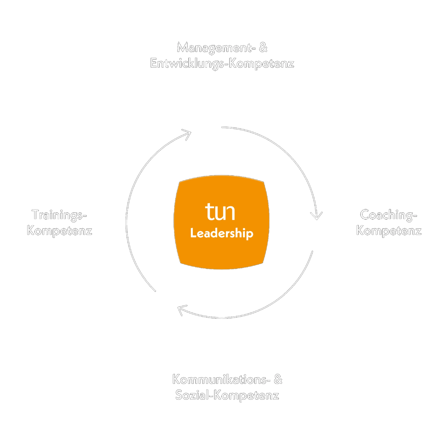 Systemische F&uuml;hrungskraft
